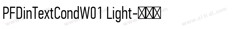PFDinTextCondW01 Light字体转换